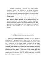 Biznesa plāns 'SIA "Burbulis"', 6.