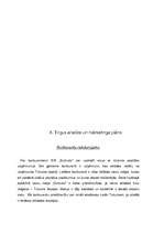 Biznesa plāns 'SIA "Burbulis"', 7.