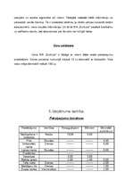 Biznesa plāns 'SIA "Burbulis"', 9.