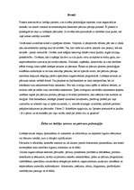 Referāts 'Lietišķo pārrunu ētika', 2.