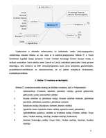 Prakses atskaite 'Personāla vadība IT uzņēmumā', 4.