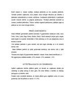 Prakses atskaite 'Mārketinga prakses atskaite uzņēmumā "Nakts Mēbeles"', 5.