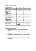 Prakses atskaite 'Mārketinga prakses atskaite uzņēmumā "Nakts Mēbeles"', 13.