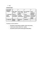 Prakses atskaite 'Mārketinga prakses atskaite uzņēmumā "Nakts Mēbeles"', 16.