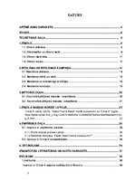 Referāts 'Uzņēmuma "Statoil Fuel & Retail Latvia"  zīmola maiņa uz "Circle K Latvia", patē', 5.