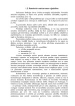 Referāts 'Vientuļo pensionāru sociālā rehabilitācija un integrācija sabiedrībā', 9.