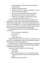 Diplomdarbs 'SIA “Alva International” finansiālā stāvokļa un tā attīstības novērtējums', 8.