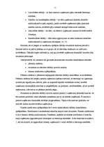 Diplomdarbs 'SIA “Alva International” finansiālā stāvokļa un tā attīstības novērtējums', 10.