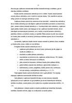 Diplomdarbs 'SIA “Alva International” finansiālā stāvokļa un tā attīstības novērtējums', 12.