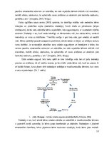 Referāts 'Latviešu valodas apguve mazākumtautību bērniem pirmsskolā', 13.