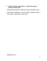 Biznesa plāns 'Privātais bērnudārzs "Zaķītis"', 22.