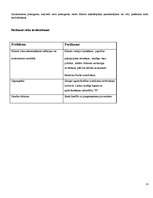 Biznesa plāns 'Privātais bērnudārzs "Zaķītis"', 32.