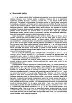 Referāts 'Romānika', 9.