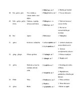 Konspekts 'Medicīnas terminelementi', 8.