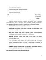 Diplomdarbs 'Elektroniskā apmācība', 21.