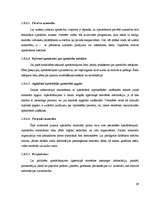 Diplomdarbs 'Elektroniskā apmācība', 29.