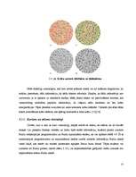 Diplomdarbs 'Elektroniskā apmācība', 77.