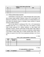 Diplomdarbs 'Elektroniskā apmācība', 98.