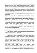 Referāts 'Krāsas mūsu dzīvē', 10.