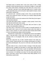 Referāts 'Krāsas mūsu dzīvē', 19.