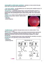 Konspekts 'Cilvēka ģenētika', 2.