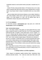 Referāts 'Solārijs, tā vēsture un attīstība', 6.