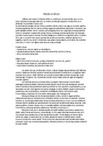 Konspekts 'Profesija - mūziķis', 1.