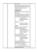 Prakses atskaite 'Prakses dienasgrāmata. Ķirurģijas aprūpes māsas specialitāte', 17.
