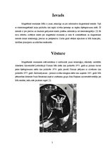 Referāts 'Magnētiskā rezonanse', 3.