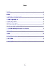 Referāts 'Manas kļūdas latviešu valodā', 2.