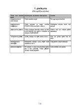 Referāts 'Manas kļūdas latviešu valodā', 17.