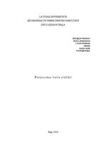 Referāts 'Pleistocēna lielie zīdītāji', 1.