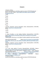 Referāts '13. Saeimas politisko partiju reklāmu ietekme uz vēlēšanu rezultātiem', 18.