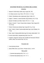 Referāts 'Tiešas un aizklātas vēlēšanas', 20.