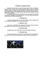 Referāts 'Olimpiskās spēles', 4.