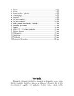 Referāts 'Rīgas starptautiskie kultūras sakari', 2.