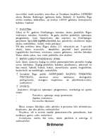 Referāts 'Rīgas starptautiskie kultūras sakari', 7.