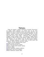 Referāts 'Rīgas starptautiskie kultūras sakari', 10.