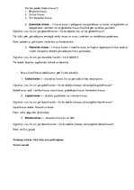 Paraugs 'Kravu identificēšana', 5.