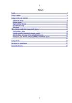 Referāts 'Līzings', 2.