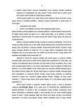 Referāts 'Līzings', 8.