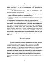 Referāts 'Līzings', 12.