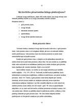 Referāts 'Līzings', 16.