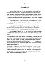 Referāts 'Līzings', 21.