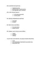 Konspekts 'Valsts pārvaldes iestādes', 4.