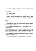 Diplomdarbs 'Skolēnu ar smagiem garīgās attīstības traucējumiem negatīvo uzvedības izpausmju ', 2.