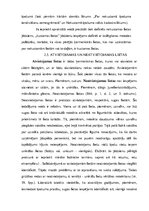 Referāts 'Lietas un lietu kopības vispārējs raksturojums', 8.