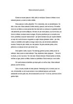 Eseja 'Mana krāsainā pasaule', 1.