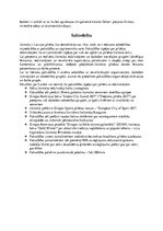 Konspekts 'Sabiedrības un vides kā divu sistēmu mijiedarbības analīze Jūrmalā', 3.