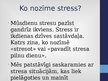 Prezentācija 'Stress. Stresa uzveikšanas paņēmieni', 2.